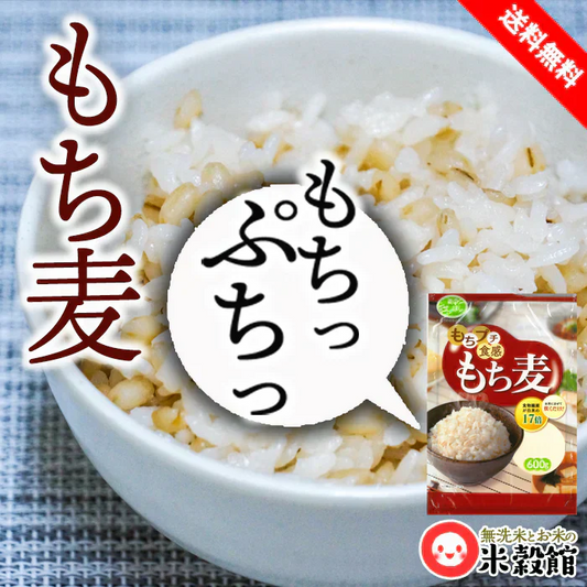 もち麦 600g アメリカ産 ネコポス発送送料無料 食物繊維 もちぷち食感 スープにも