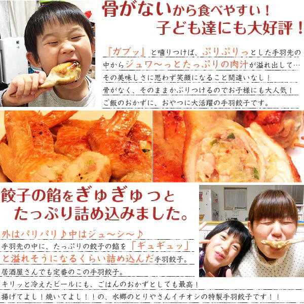 8秒に1本売れてる！手羽先餃子20本セット【ゲリラセール】