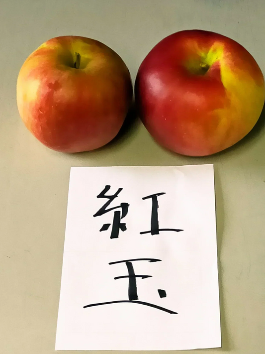 青森りんご 紅玉 訳あり 酸味が強い香りもよく生のまま食べると甘酸っぱくて濃厚な味わい  2.5㎏約12個 変動あり【6133】