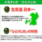 すいか 送料無料 小玉すいか ひとりじめ 秀品2玉 約2～3kg 西瓜 スイカ 熊本県産 お取り寄せ フルーツ