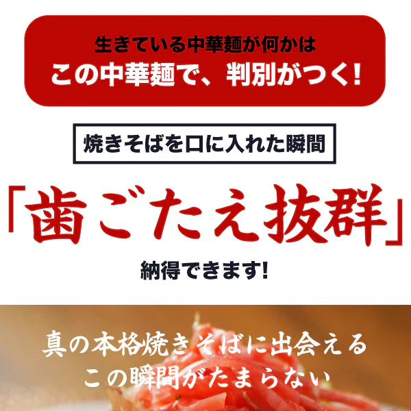 生麺 焼きそば 2食 オタフクソース付 ソース焼きそば お試し おつまみ 送料無料 メール便