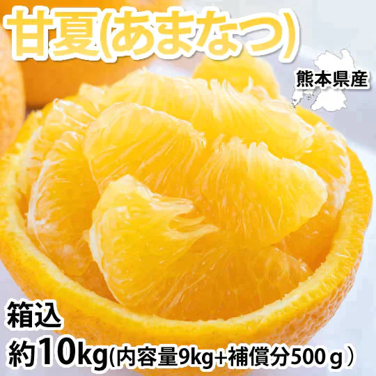 【2月下旬～3月上旬頃より順次出荷】甘夏 みかん 訳あり 10kg 箱込 (内容量9kg+補償500g)  送料無料 サイズ無選別 熊本県産 あまなつ 川野夏橙 蜜柑