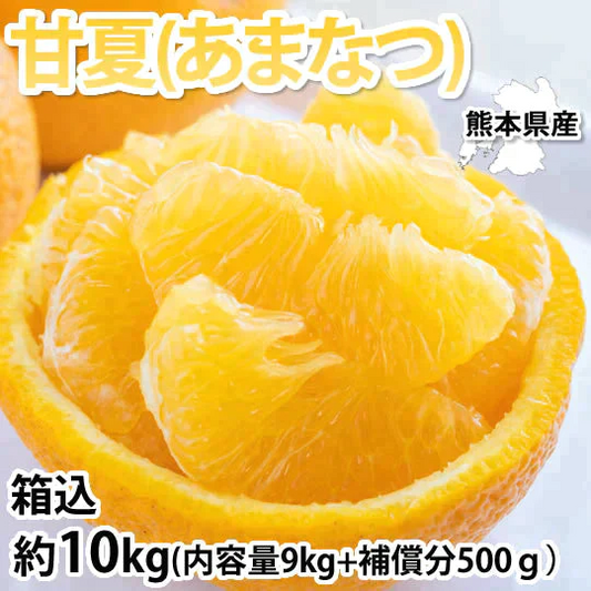 【2月下旬～3月上旬頃より順次出荷】甘夏 みかん 訳あり 10kg 箱込 (内容量9kg+補償500g)  送料無料 サイズ無選別 熊本県産 あまなつ 川野夏橙 蜜柑