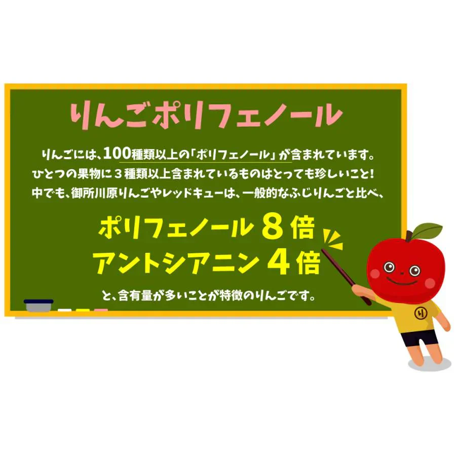 りんご 3kg レッドキュー 青森産 （発送予定：10月中旬より）