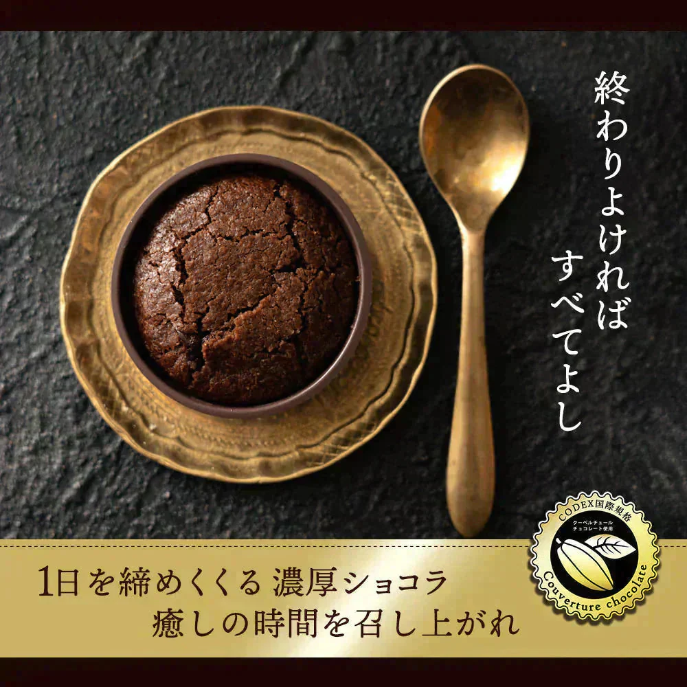夜のご褒美 クーベルチュール フォンダンショコラ 12個 (6個入×2箱セット)