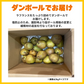 レスキューラフランス 訳あり 規格外 2kg 洋梨 山形県産 家庭用  果物 フルーツフードロス削減・食品ロス削減