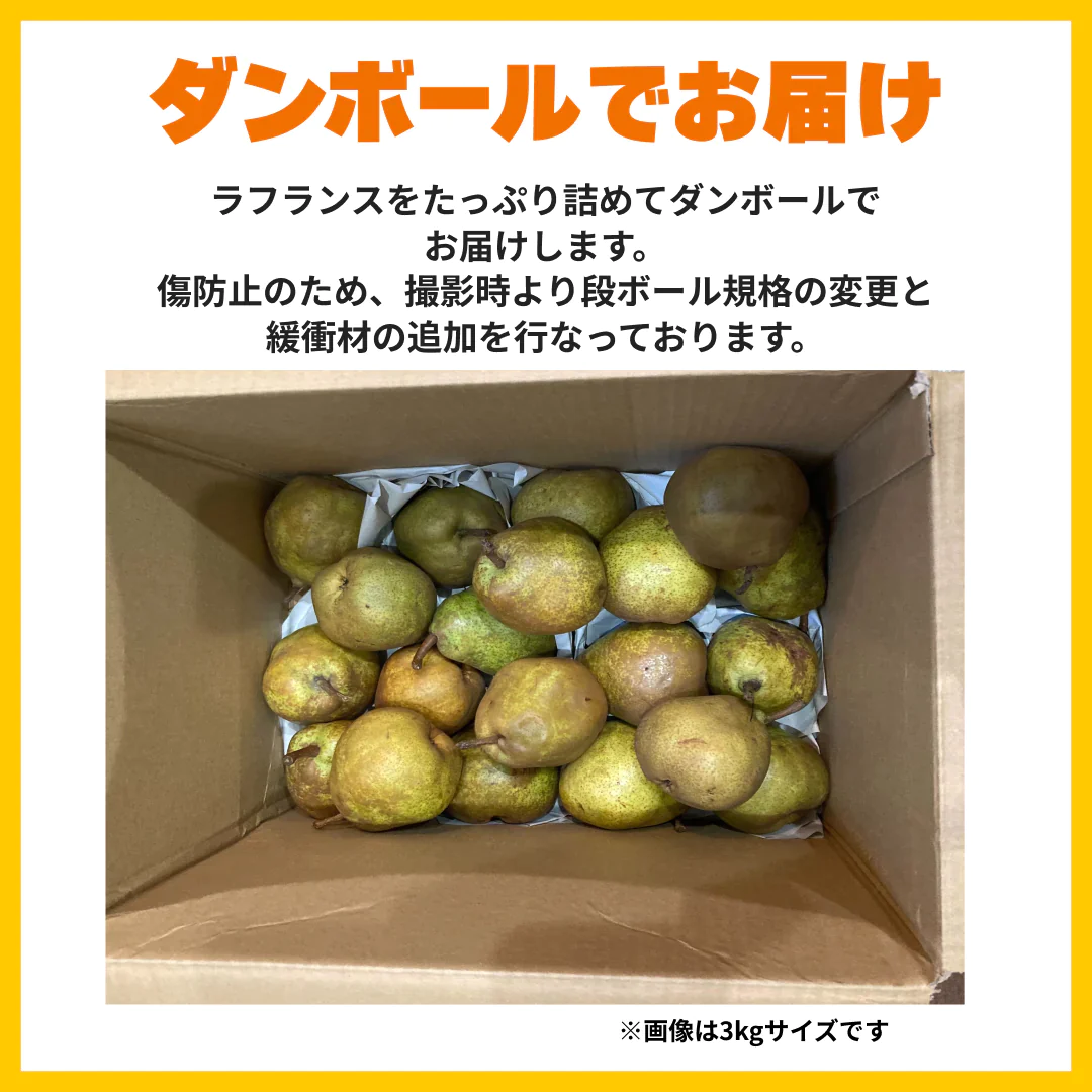 レスキューラフランス 訳あり 規格外 2kg 洋梨 山形県産 家庭用  果物 フルーツフードロス削減・食品ロス削減