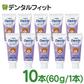 歯磨き粉 子供 ライオン DENT チェックアップkodomo グレープ 10本（60g） 歯科用