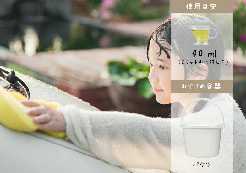 「Eco-Branch110 エコ・ブランチ110　2Ｌ 詰替タイプ」エコブランチ　食品並みの安全性で手肌にやさしいミラクル洗剤！