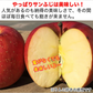 サンふじ 訳あり 約3kg 7-14玉＃NAF0B030