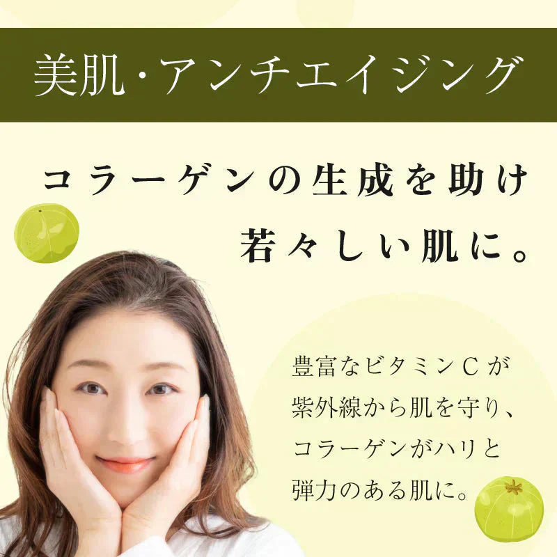アムラパウダー 無添加 食用 オーガニック 100g 有機 JAS認証 粉末 アムラ 100% パウダー グーズベリー スリランカ ヘアケア 美髪 薄毛 美肌 栄養 健康 サプリメント