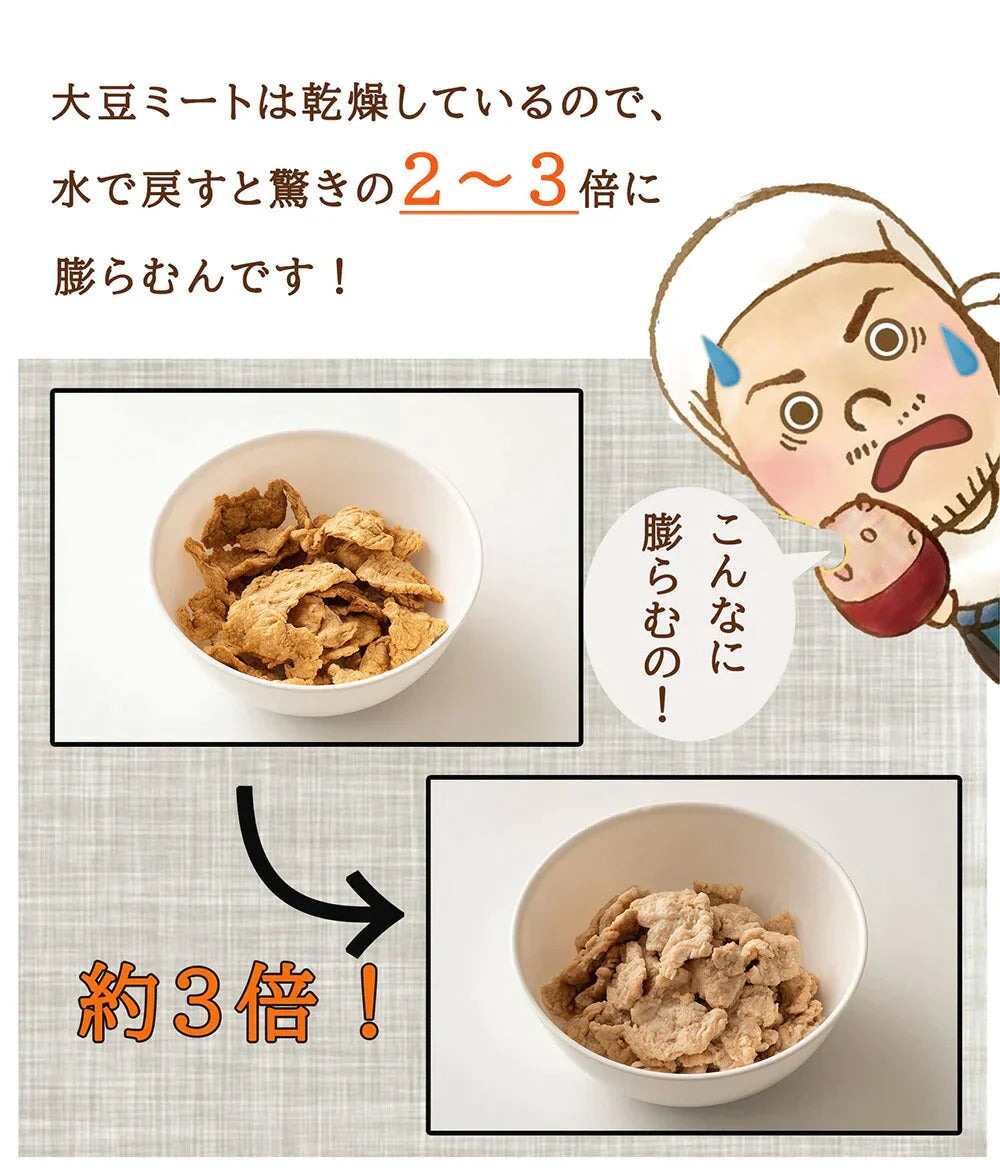 雑穀 雑穀米 国産 大豆ミート(フィレ) 3kg(250g×12袋) 送料無料