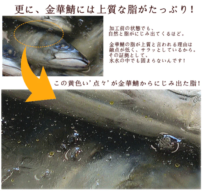 石巻の至宝 金華さば開き干し 5枚セット 送料無料 金華サバ 金華鯖 無添加 さば 干物 宮城 石巻