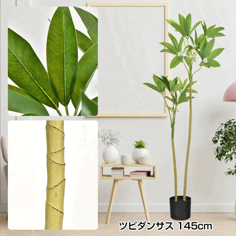 販売中止