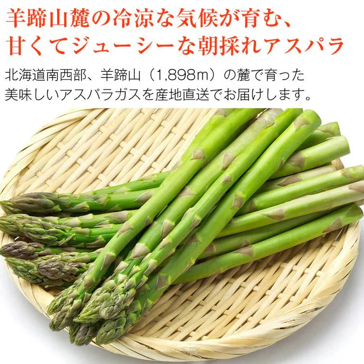 ホワイトアスパラガス 北海道 朝採れ 1kg 食べ比べ ホワイトアスパラ 500g グリーンアスパラ 500g 羊蹄山 産地直送 冷蔵便 同梱不可 指定日不可 産直