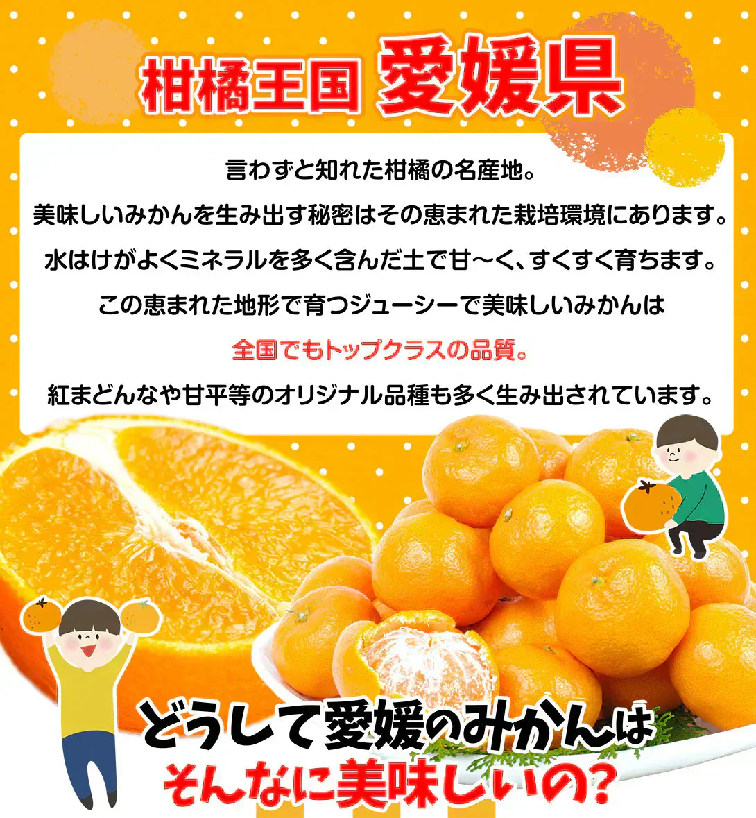 あいか 愛媛産 5kg ご家庭用 （発送予定：11月下旬より）