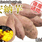 安納芋 5kg 安納いも 安納イモ 産地直送 産直 土付き さつまいも さつま芋 薩摩芋 焼きいも 焼き芋 鹿児島県産 FJK-002