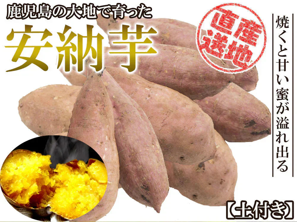 安納芋 5kg 安納いも 安納イモ 産地直送 産直 土付き さつまいも さつま芋 薩摩芋 焼きいも 焼き芋 鹿児島県産 FJK-002