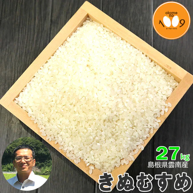 米 島根県雲南産 きぬむすめ 白米 27kg 令和7年産 石原公夫