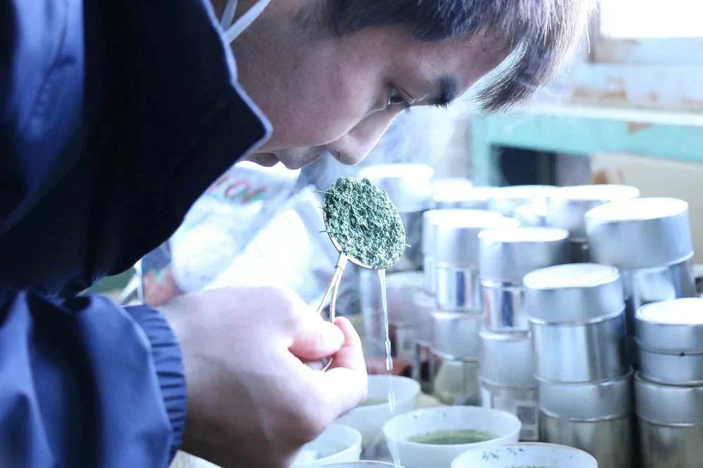 訳あり静岡茶100g×3 茎入茶葉 お茶 お茶の葉 日本茶 緑茶 一番茶 カテキン緑茶 深蒸し茶 お徳用 業務用【エコ得】