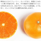 せとか みかん 5kg 愛媛県産 JAえひめ中央 柑橘 大トロ 高級 フルーツ ギフト 常温便【フレッシュセール】