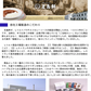 【北海道限定】五島軒 究極の函館カレー 中辛【1人前×2箱】函館 有名店 新千歳空港 お土産