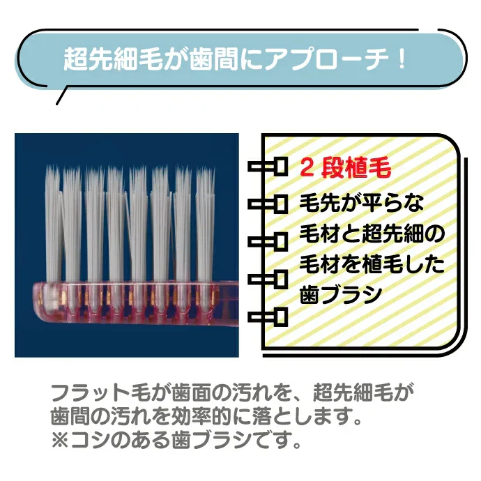 歯ブラシ Ci PRO Ag 超先細+フラット毛 / Mふつう 5本入【メール便送料無料】