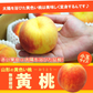 訳あり 黄桃 5kg前後 産地箱 モモ もも ピーチ サイズ・玉数おまかせ ご家庭用 送料無料 業務用 箱詰め 黄色い桃
