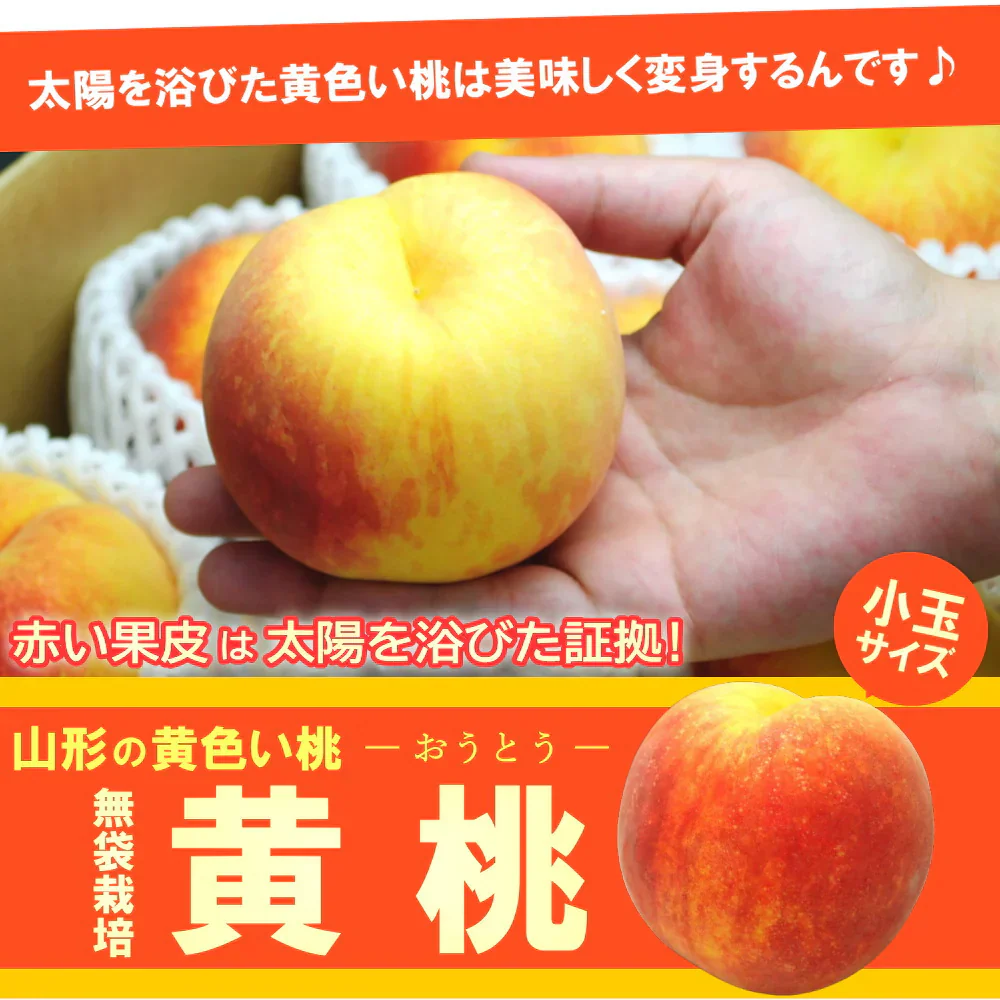 訳あり 黄桃 5kg前後 産地箱 モモ もも ピーチ サイズ・玉数おまかせ ご家庭用 送料無料 業務用 箱詰め 黄色い桃