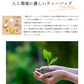 ゴクゴクすっきり 和紅茶 ティーバッグ 100個入 和紅茶 ティーバッグ 水出し紅茶 お茶 紅茶 国産 ポット用 ホット アイスティー 水出し 静岡茶 牧之原茶 ティーパック 送料無料 パック