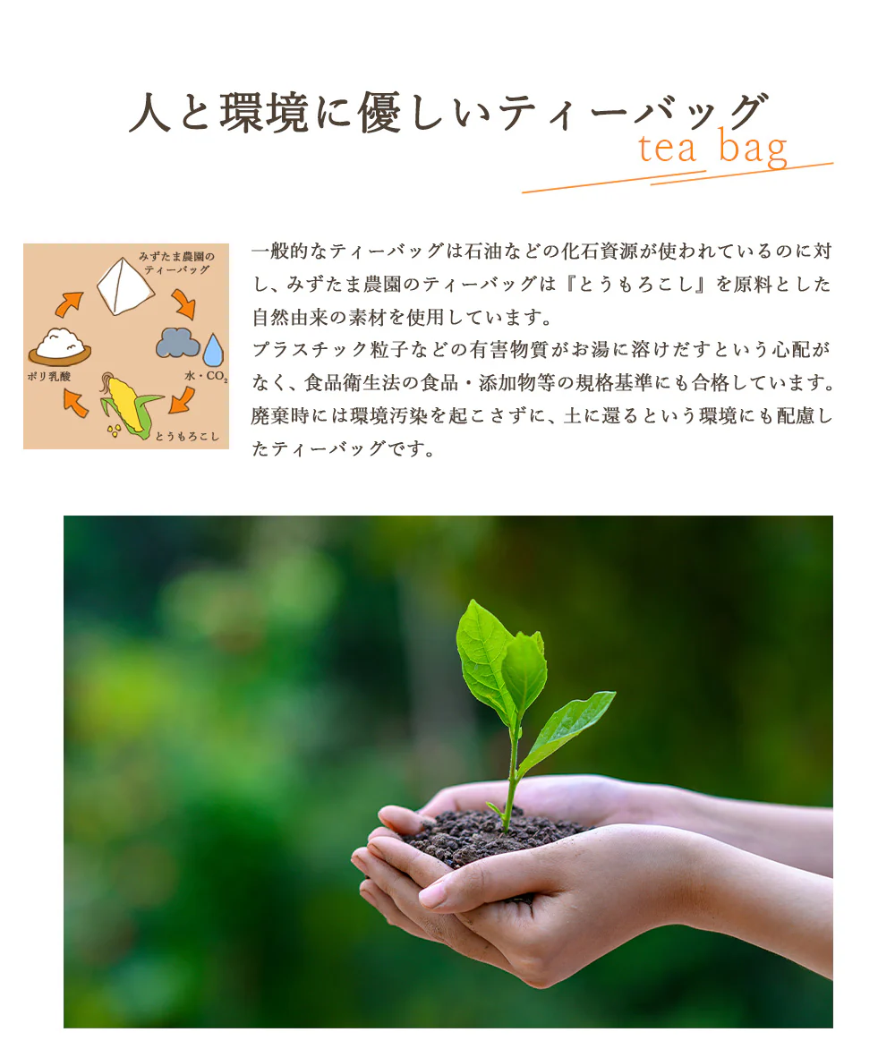 ゴクゴクすっきり 和紅茶 ティーバッグ 100個入 和紅茶 ティーバッグ 水出し紅茶 お茶 紅茶 国産 ポット用 ホット アイスティー 水出し 静岡茶 牧之原茶 ティーパック 送料無料 パック