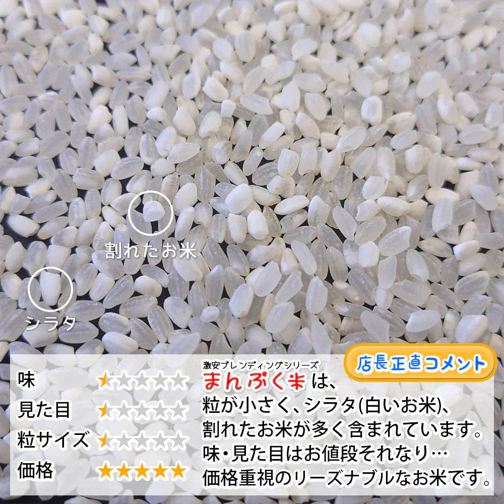 白米 10kg (5kg×2袋) まんぷく米 国内産 送料無料 米10キロ こめ コメ お米 新米 お米10kg