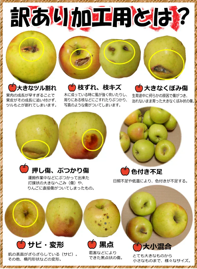 青森県産 りんご 金星 5kg箱【加工用】　★金星 加 5kg 箱