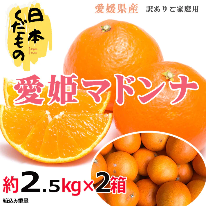 愛媛県産 高級柑橘マドンナ 2.5kg×2箱 訳あり家庭用 柑橘