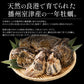 2L、Mサイズが選べる　カキ 牡蠣 かき 生食用 殻付き 1kg　Mサイズ（14～16個）　冷凍 ［送料無料］ 生牡蠣 生食 美味しい 冷凍牡蠣 生ガキ 生食用カキ お取り寄せ 殻付き牡蠣 高鮮度 贈り物 お取り寄せグルメ 贈答用