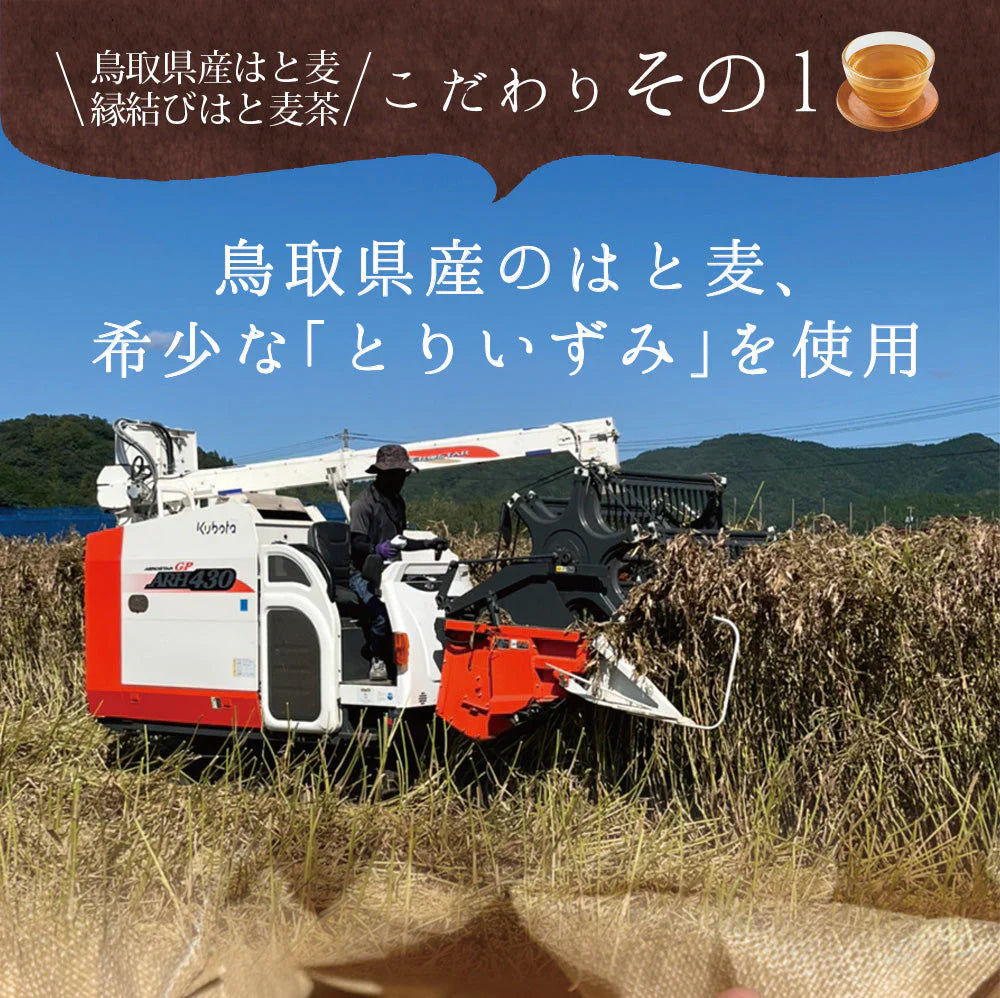 日本橋いなば園 はとむぎ茶ティーバッグ 60包 ネコポス メール便送料無料