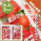 和歌山県産 まりひめ いちご M〜2L ２パック（250g×2パック）和歌山 紀の川市 ブランド 苺 イチゴ 送料無料 贈答 産地