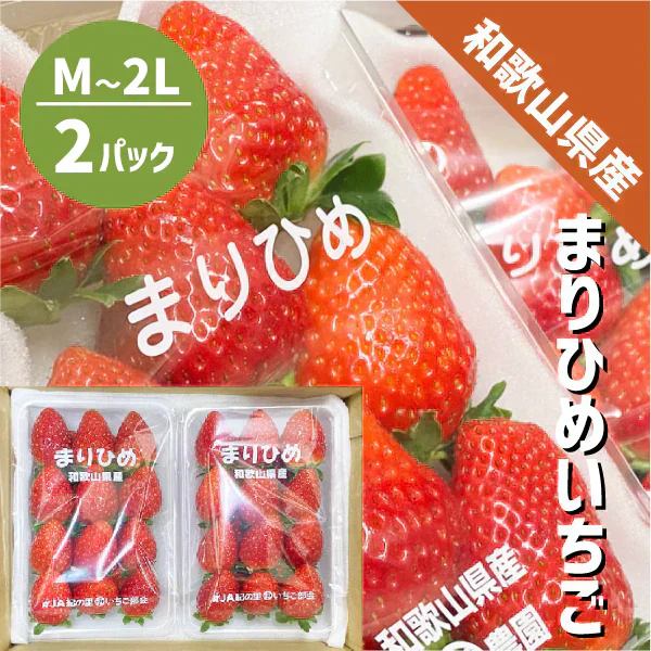 和歌山県産 まりひめ いちご M〜2L ２パック（250g×2パック）和歌山 紀の川市 ブランド 苺 イチゴ 送料無料 贈答 産地