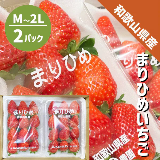 和歌山県産 まりひめ いちご M〜2L ２パック（250g×2パック）和歌山 紀の川市 ブランド 苺 イチゴ 送料無料 贈答 産地