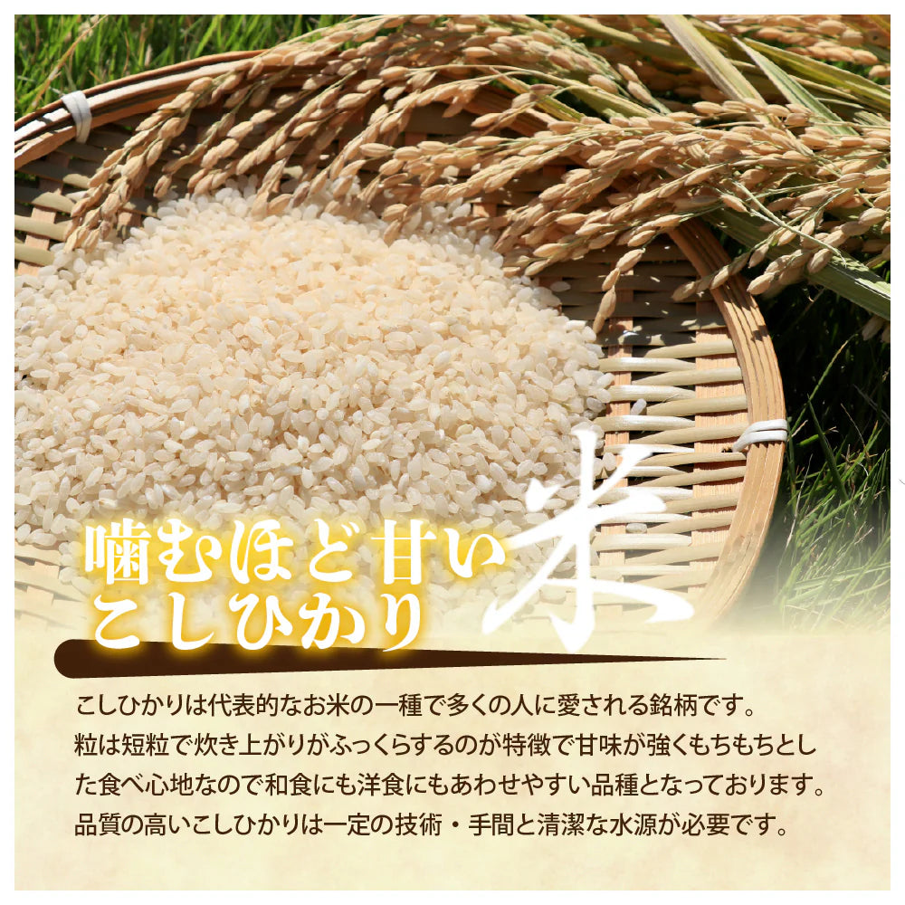 【白米】静岡県産 こしひかり 20kg(5kg×4袋)