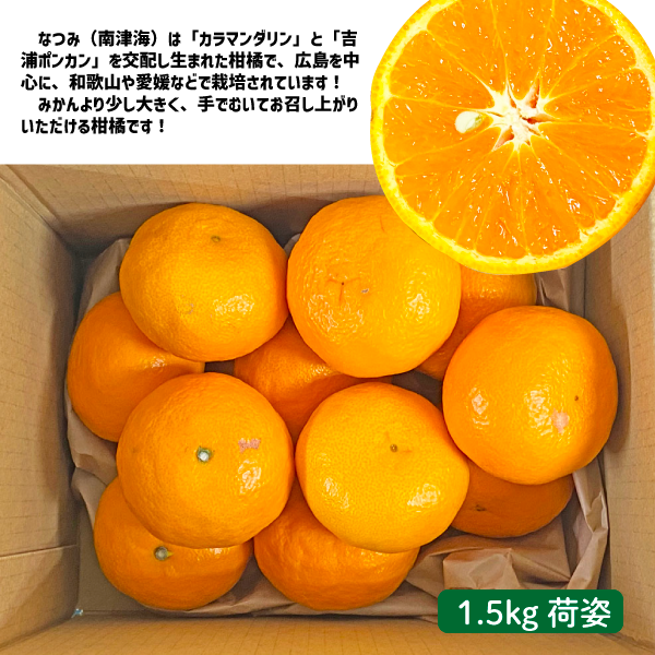 和歌山県産 なつみ 約1.5kg 和歌山県 秀品 ギフト 贈答 南津海 みかん 柑橘
