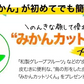 河内晩柑 送料無料 1.5kg 和製 グレープフルーツ 旬 の フルーツ 果物 みかん 訳あり 夏文旦 晩柑 宇和ゴールド ジューシーみかん 熊本県産 《1-5営業日以内に発送予定(土日祝日除く)》