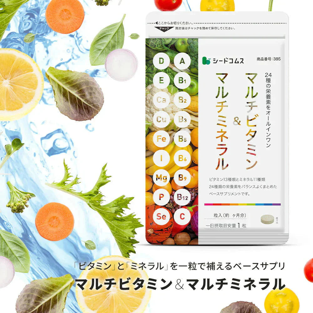マルチビタミン＆マルチミネラル《約12ヶ月分》送料無料 サプリ サプリメント 健康 美容 ビタミンA ビタミンB ビタミンC ビタミンD ビタミンE 葉酸 ナイアシン ミネラル カロテン 鉄 亜鉛 カルシウム マグネシウム 銅 ヨウ素