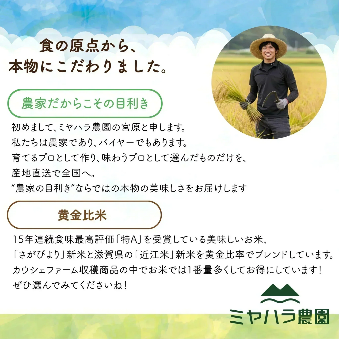 【お届けまで約3週間】「黄金比米」 800g 佐賀県産 滋賀県産 15年連続食味特A受賞【カウシェファーム収穫対象商品】
