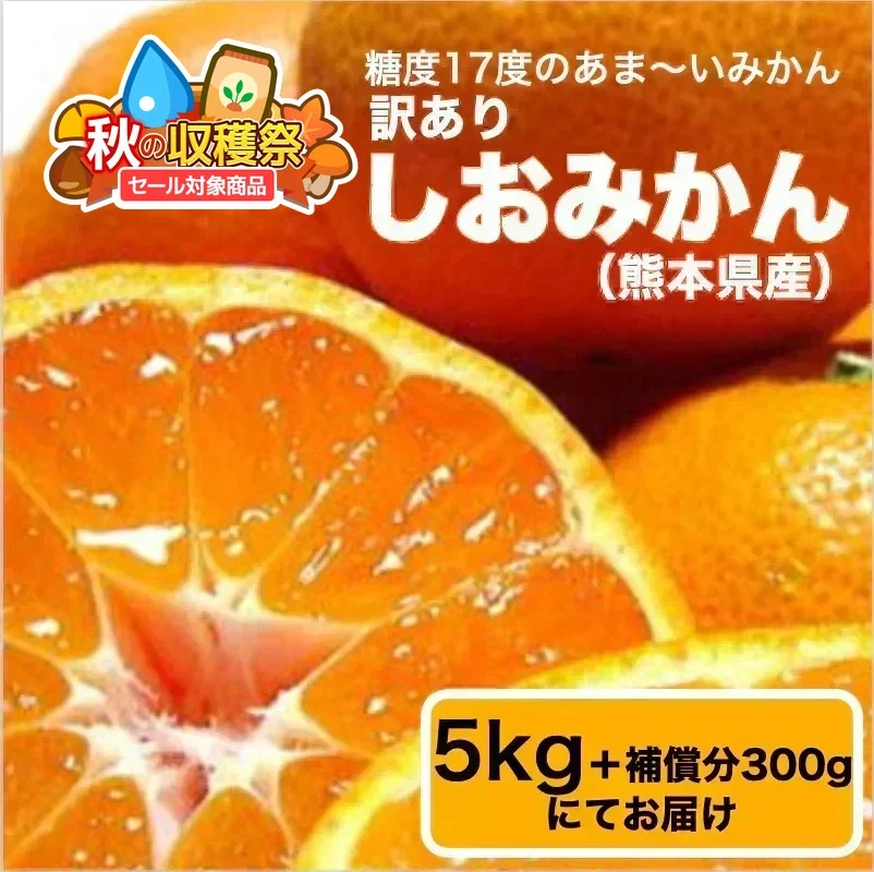 【11月上旬頃～12下旬頃順次発送】しおみかん  5kg みかん 熊本産 訳あり ご家庭用 80サイズ