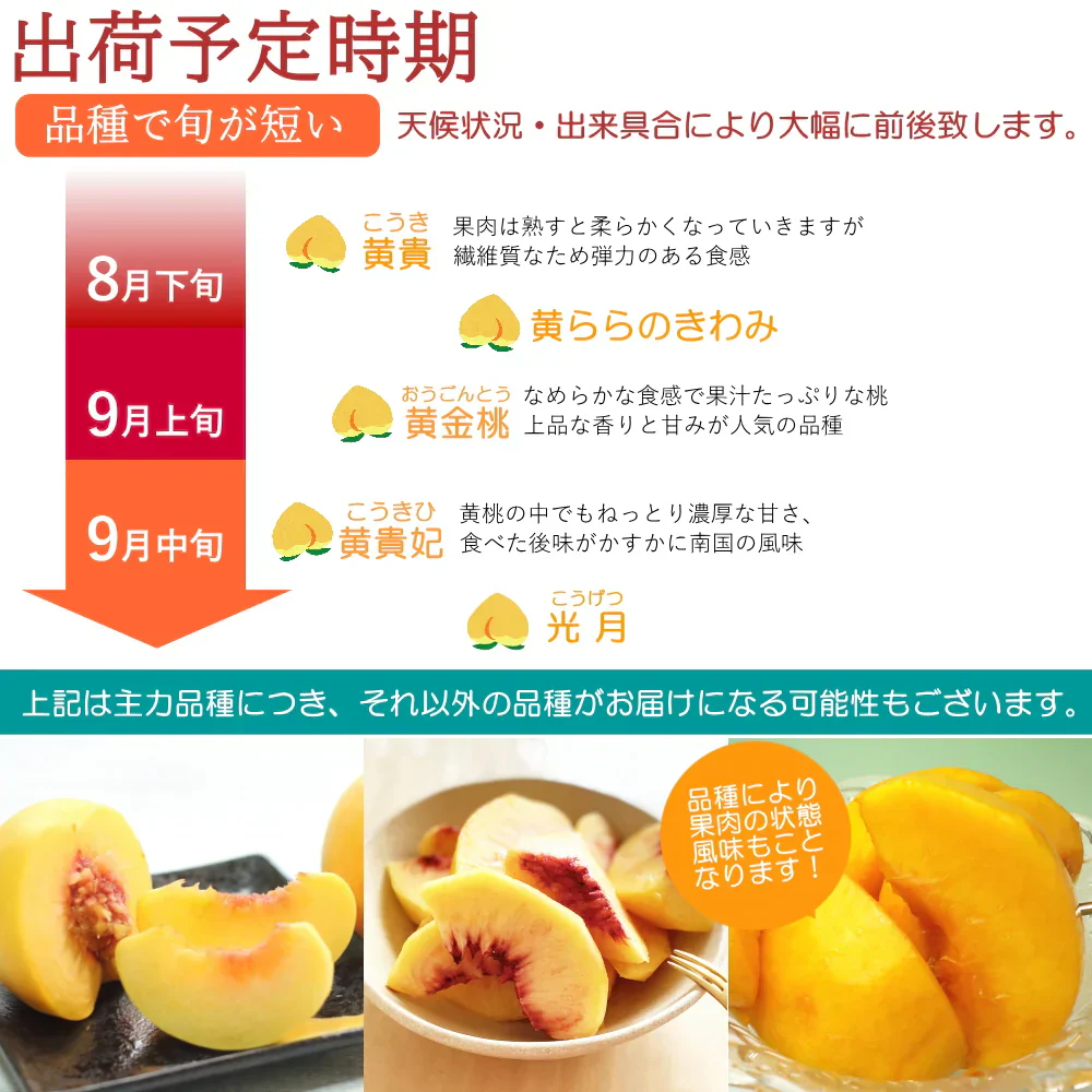 黄桃 6-8玉入り 約2kg 化粧箱 贈答 ギフト プレゼント もも 桃 きいろ モモ 山形 産地直送 送料無料