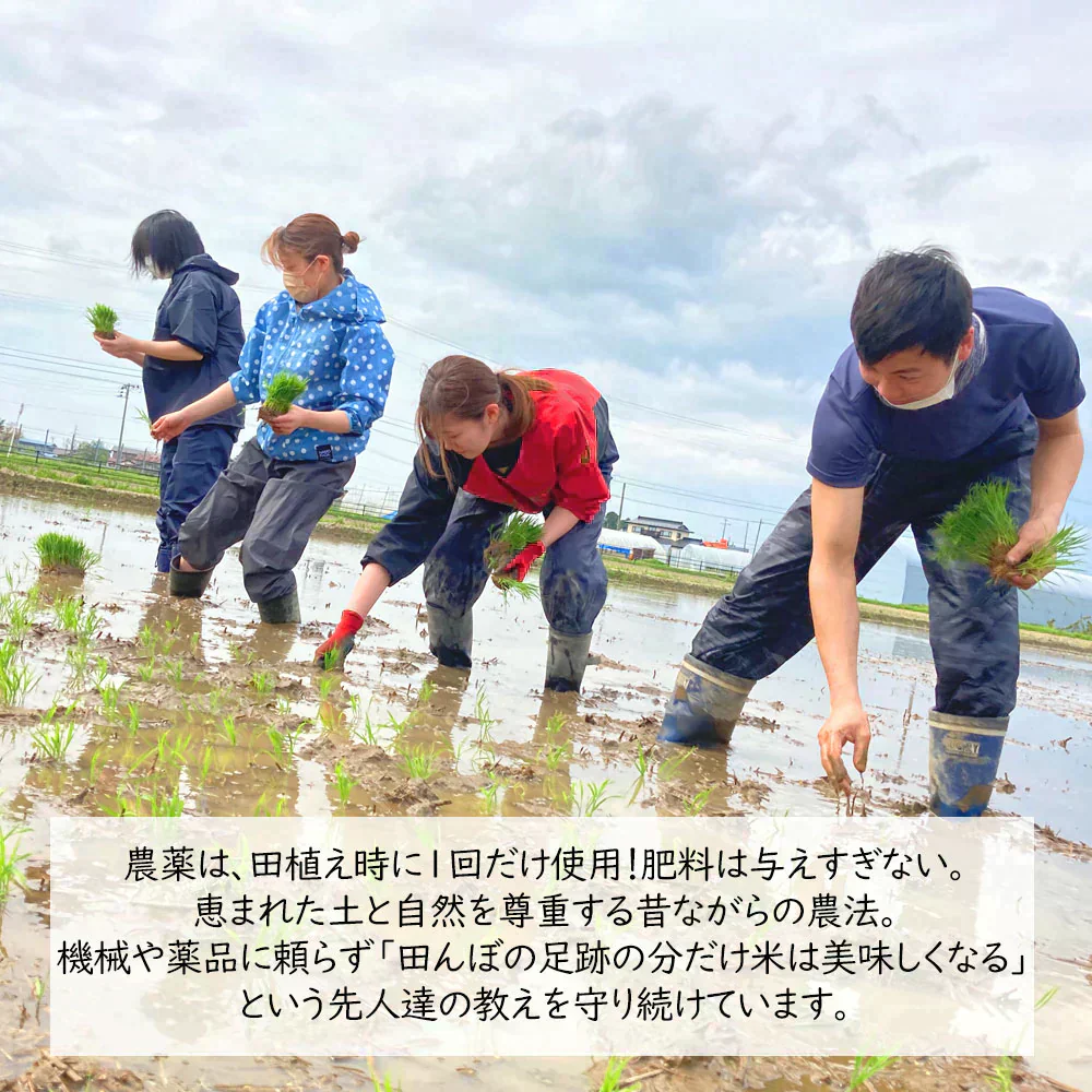 秋田県産 ミルキークイーン 精米30kg（5kg×6袋）令和6年産【古代米プレゼント付き】