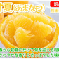 【2月下旬～3月上旬頃より順次出荷】甘夏 みかん 訳あり 10kg 箱込 (内容量9kg+補償500g)  送料無料 サイズ無選別 熊本県産 あまなつ 川野夏橙 蜜柑