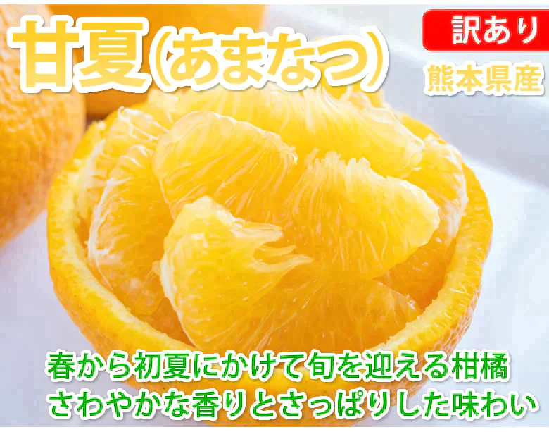 【2月下旬～3月上旬頃より順次出荷】甘夏 みかん 訳あり 10kg 箱込 (内容量9kg+補償500g)  送料無料 サイズ無選別 熊本県産 あまなつ 川野夏橙 蜜柑
