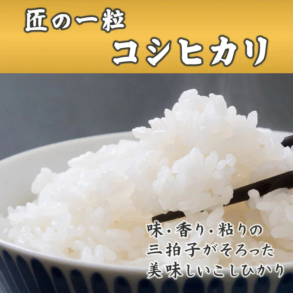 【白米】匠の一粒 コシヒカリ 30kg(10kg×3袋) 国産 国産コシヒカリ(ブレンド)100％ 送料無料 精米工場からの直送品